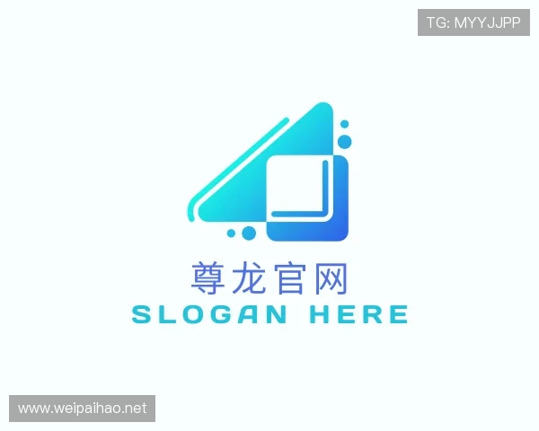 解读尊龙网站